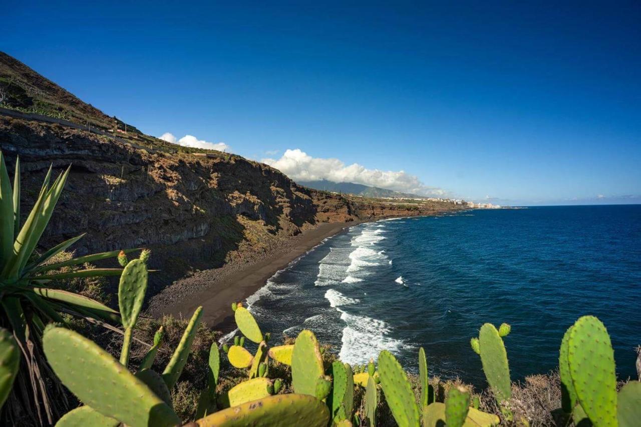 Dragos del Mar , Espacio Natural La Orotava Exterior foto